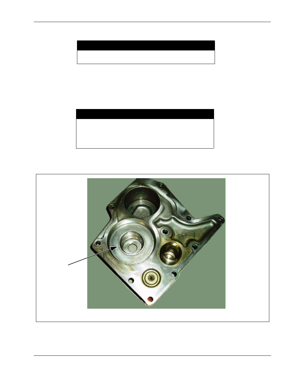 Pump cartridge installation, Caution | Gasboy Blackmer GDP User Manual | Page 13 / 34