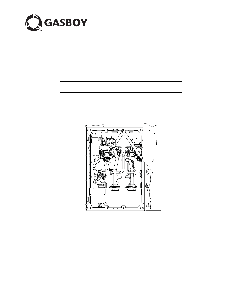 Gasboy Hi-Flow Sat Pipng Conversion Kits User Manual | 12 pages