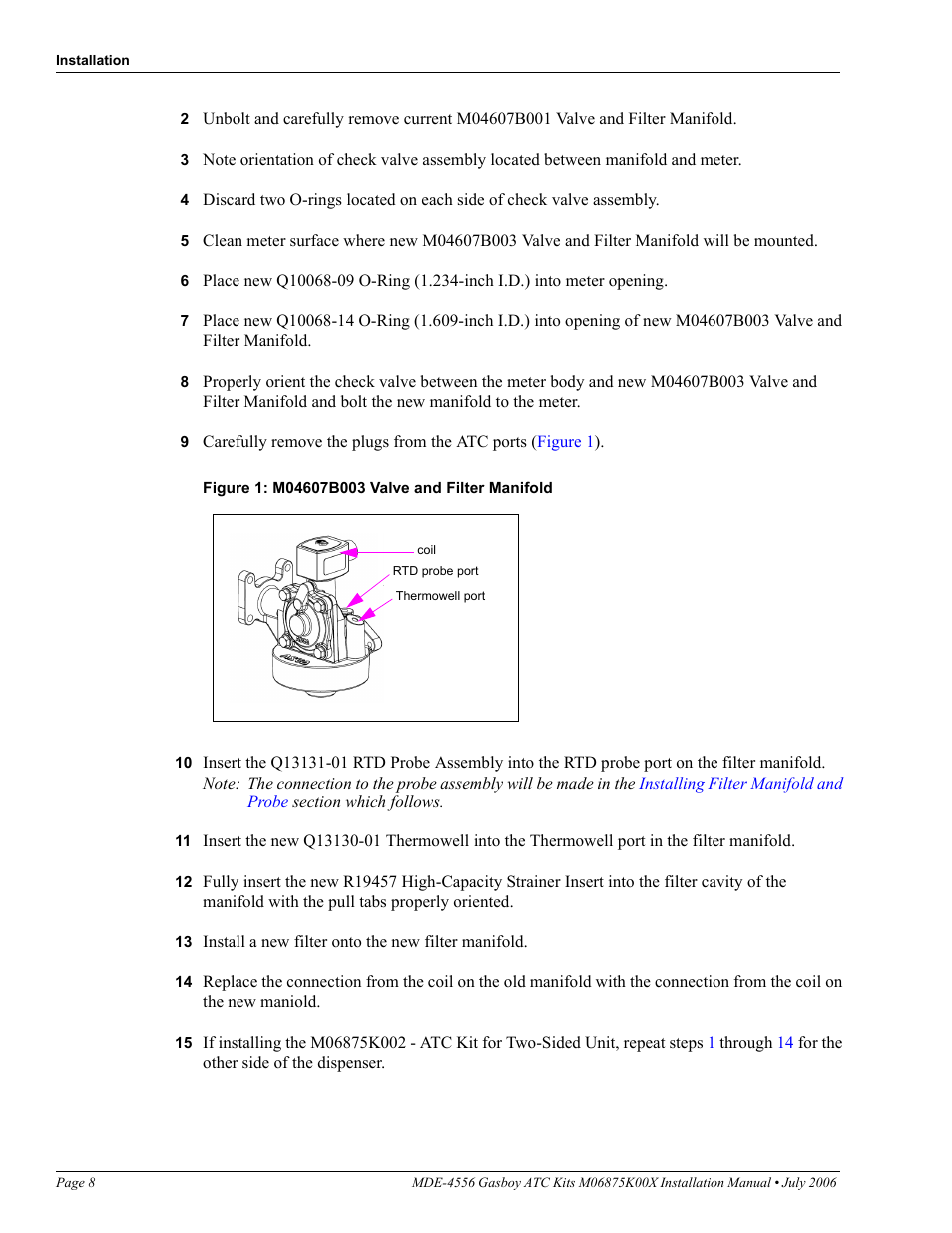 Gasboy M06875K00X User Manual | Page 8 / 22