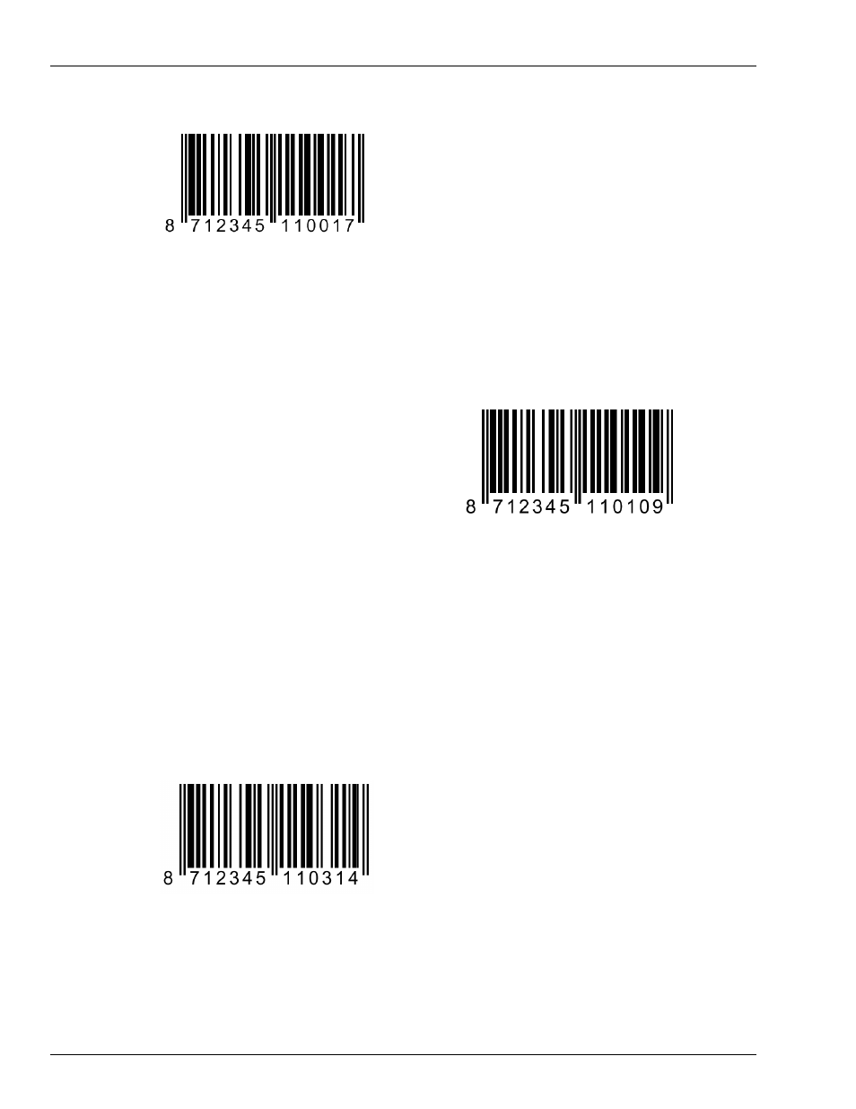 Gasboy DLL2020 Scanner User Manual | Page 4 / 6