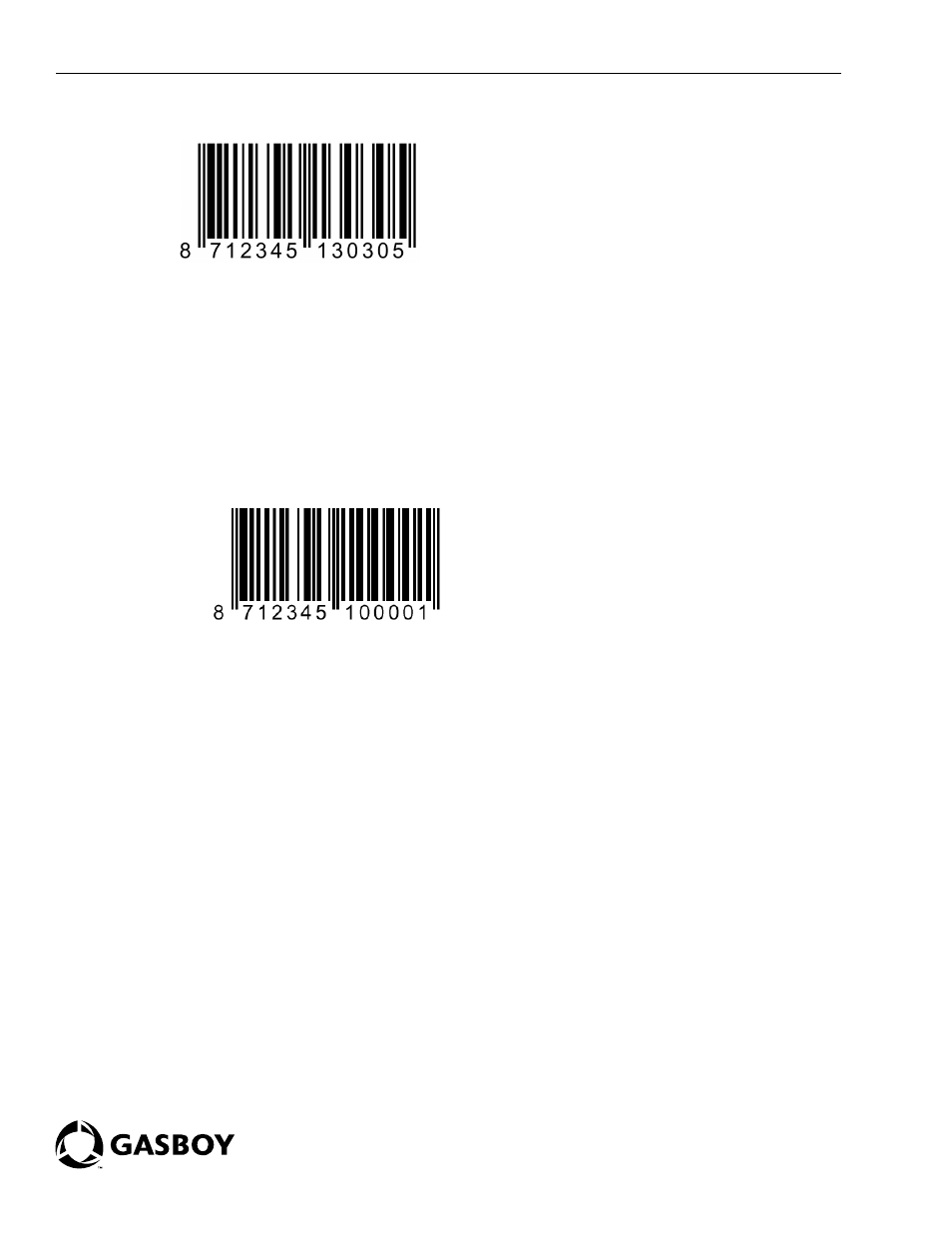 Figure 13 | Gasboy DLL2020 Scanner User Manual | Page 6 / 6