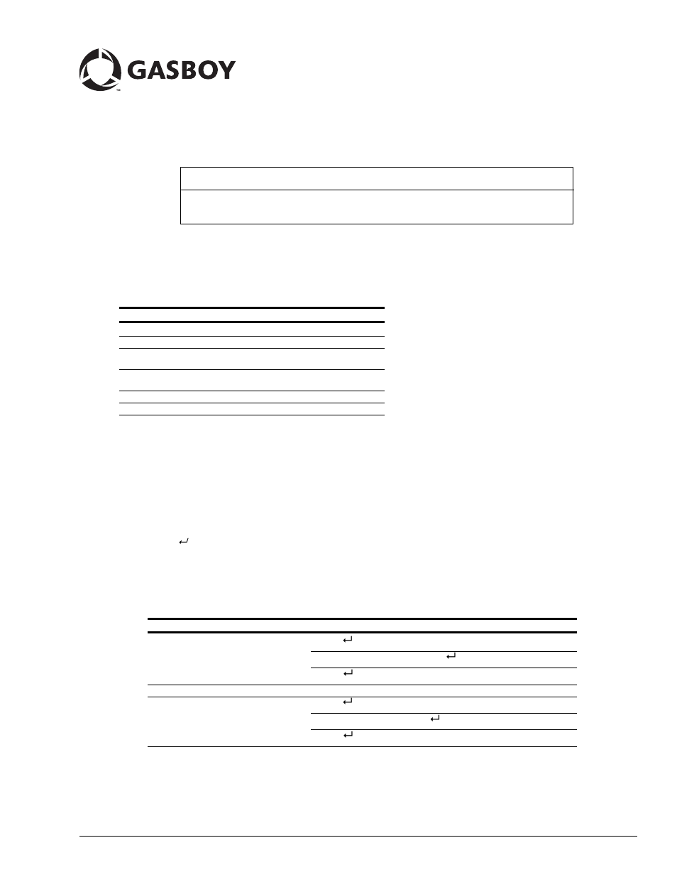 Gasboy C01533 User Manual | 2 pages