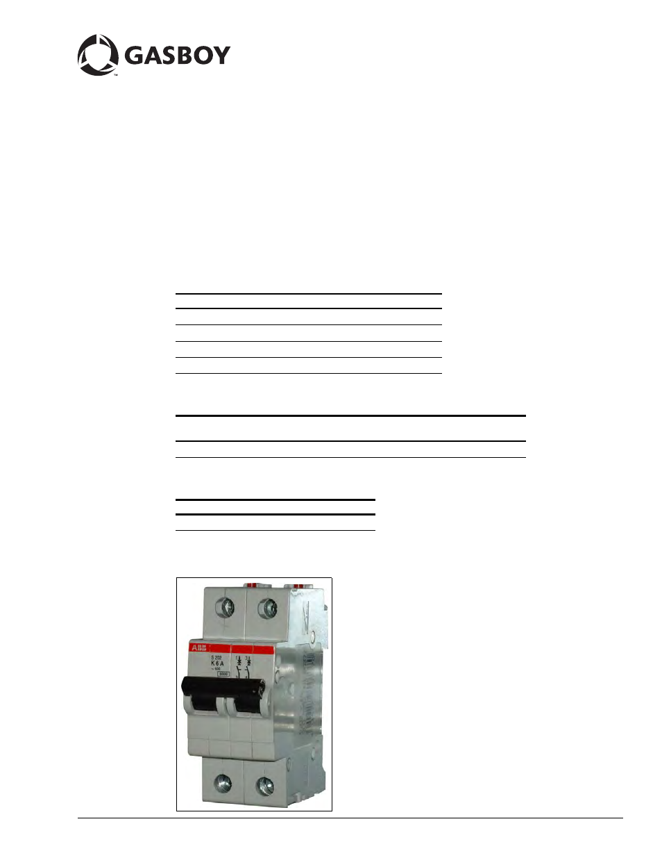 Gasboy TopKAT PLUS Bypass Switch Installation User Manual | 6 pages