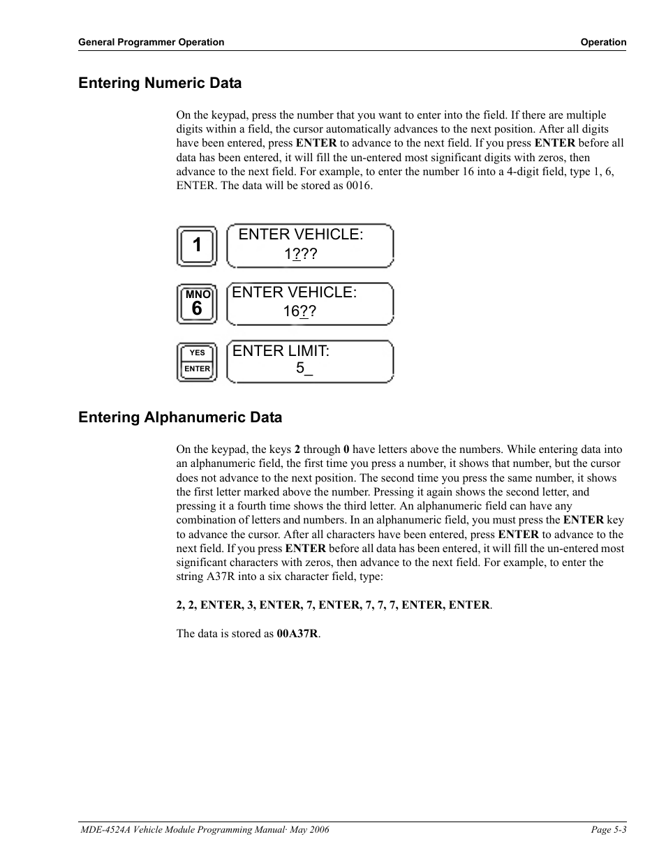 Entering numeric data, Entering alphanumeric data | Gasboy Fuel Point Vehicle Module User Manual | Page 31 / 48