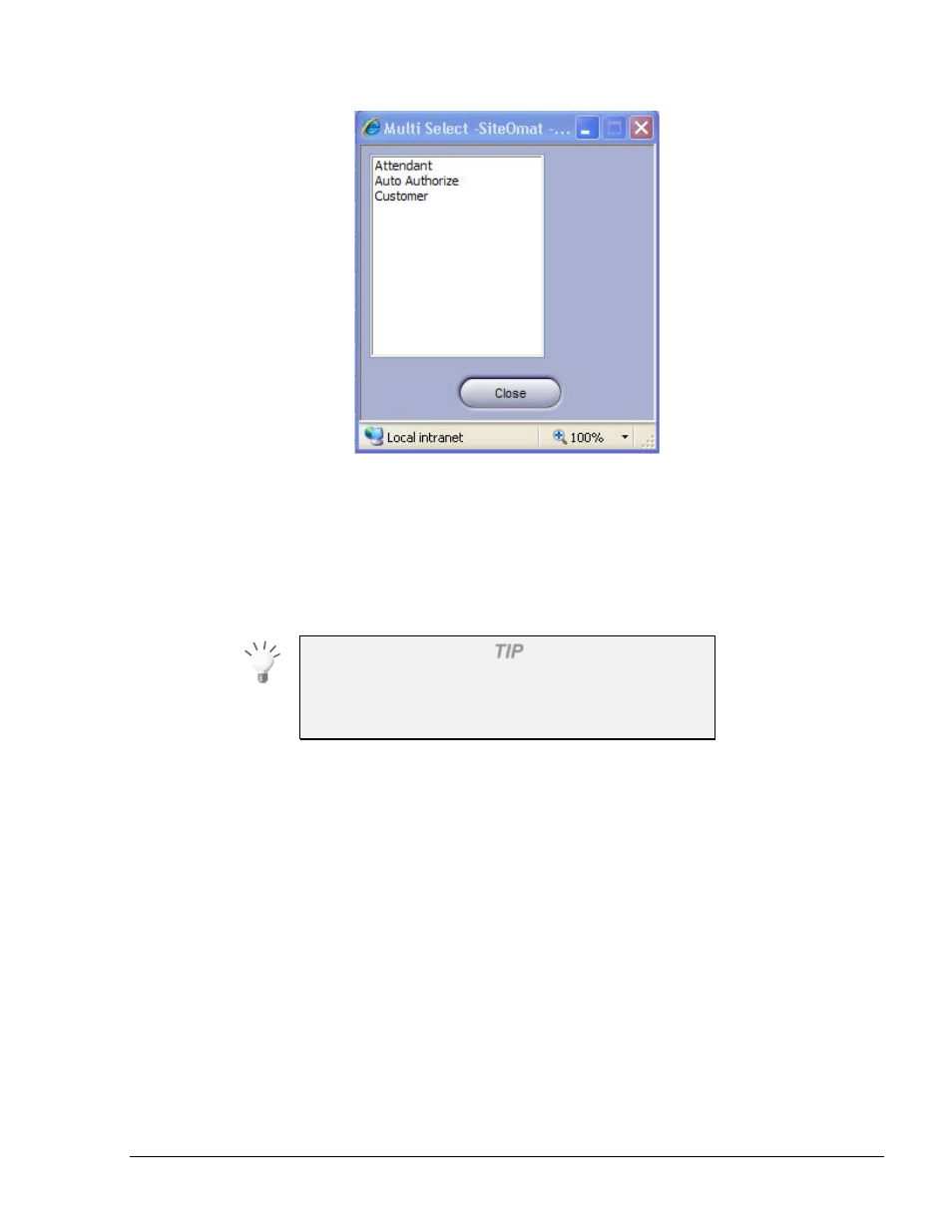 2.5. template options, 2.6. report structure options, 2.7. functional buttons | Figure 7-2. multi select box | Gasboy SiteOmat Users Manual User Manual | Page 113 / 148