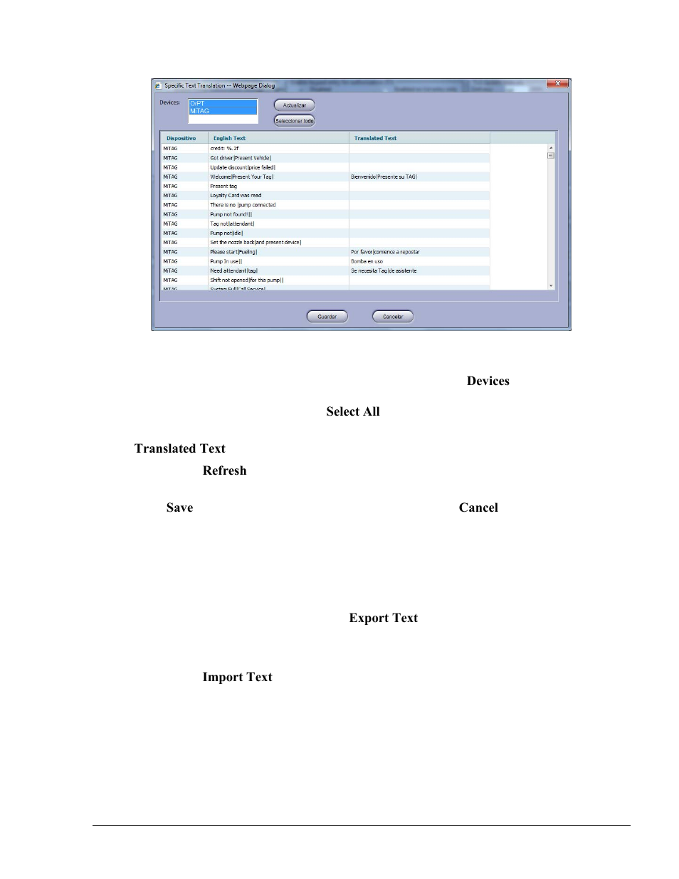 Export/import translation, Figure 6-45. specific text translation dialog box | Gasboy Fleet Head Office System User Manual | Page 135 / 370