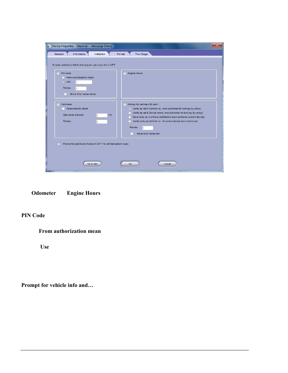 Gasboy Fleet Head Office System User Manual | Page 176 / 370