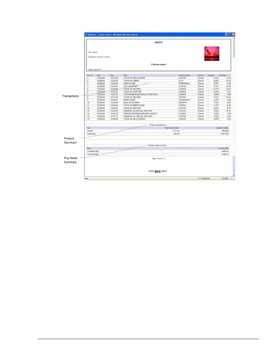 Fleet reports, Figure 8-10. custom report (typical) | Gasboy Fleet Head Office System User Manual | Page 197 / 370