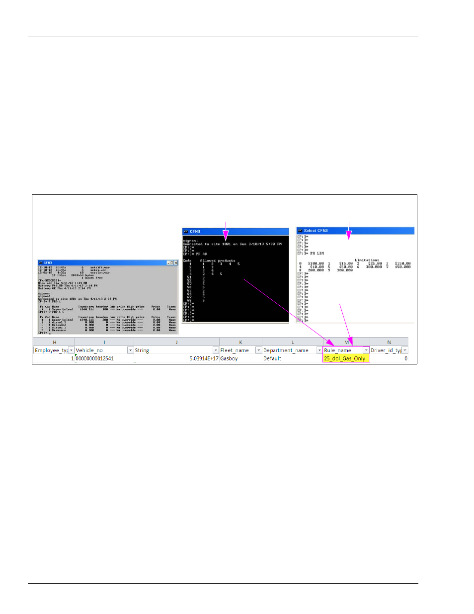 Expiration date, Limit and authorization fields, Price code | Figure 4-5 | Gasboy Fleet PLUS User Manual | Page 32 / 94