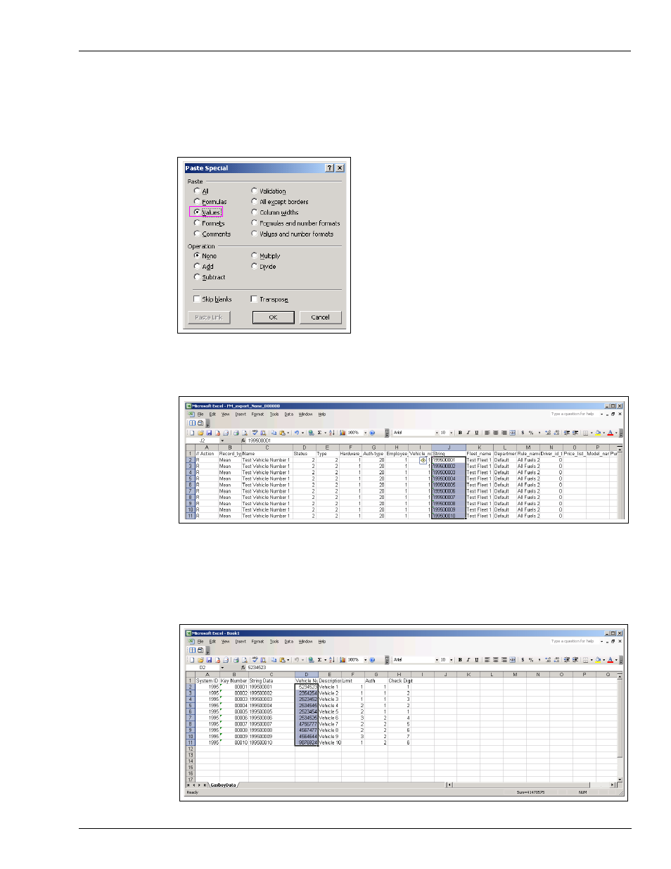 10 paste the new data into the import file | Gasboy Fleet PLUS User Manual | Page 59 / 94