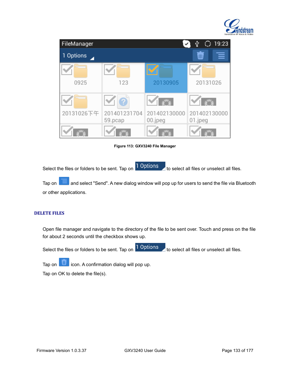 Delete files, Figure 113: gxv3240 file manager | Grandstream GXV3240 User Guide User Manual | Page 135 / 179