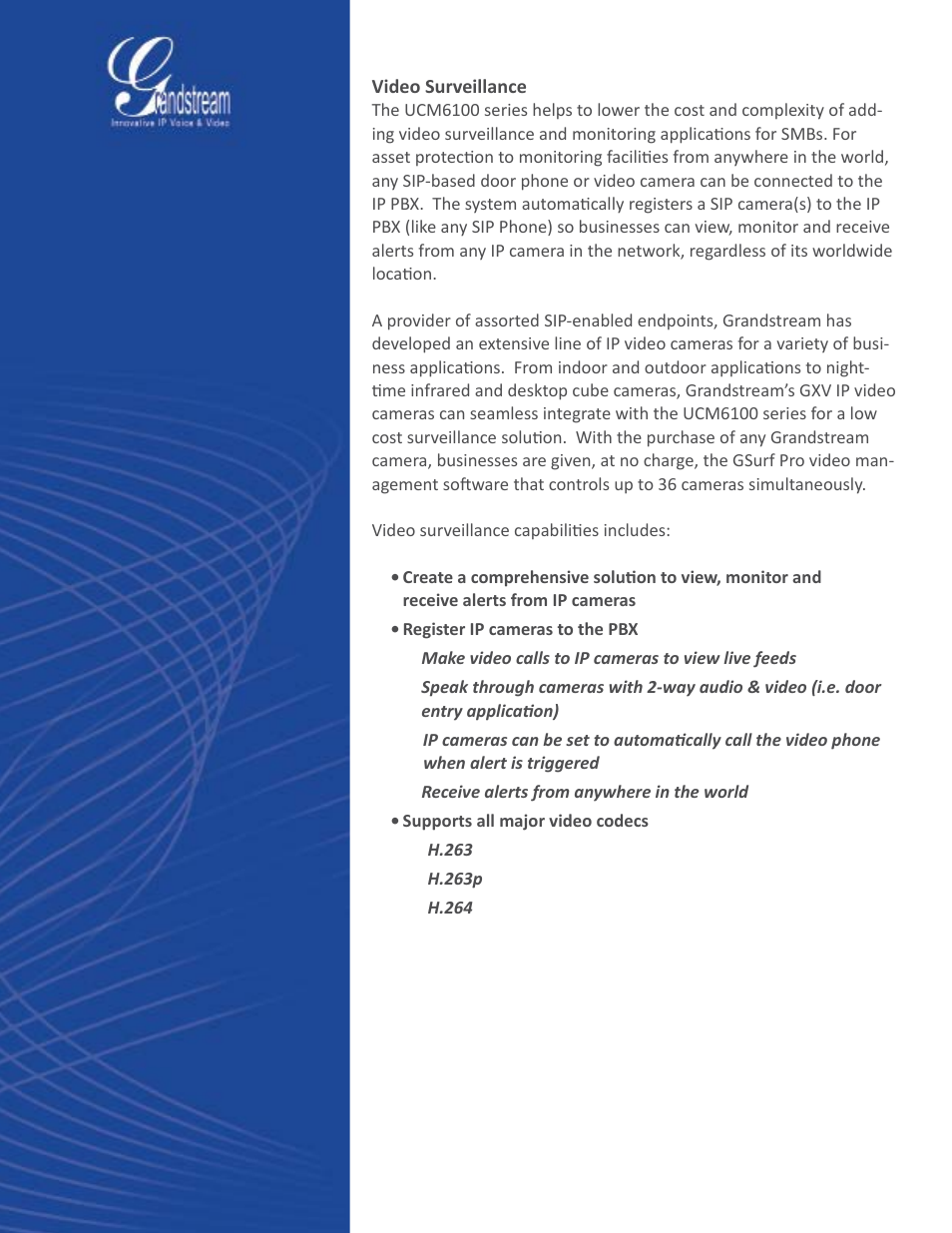 Grandstream UCM6100 series IP PBX Buyer's Guide User Manual | Page 11 / 15