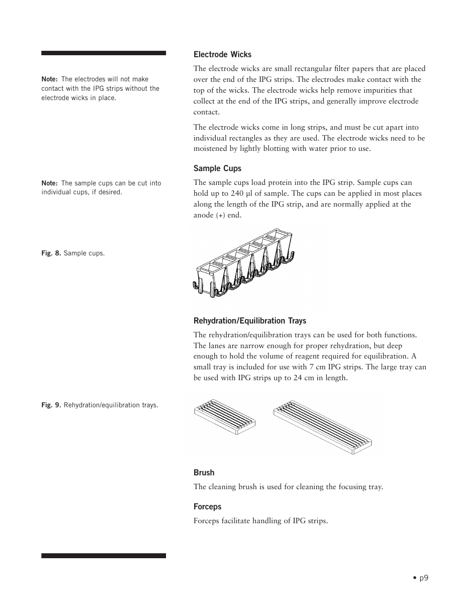 Hoefer IEF100 User Manual | Page 15 / 65