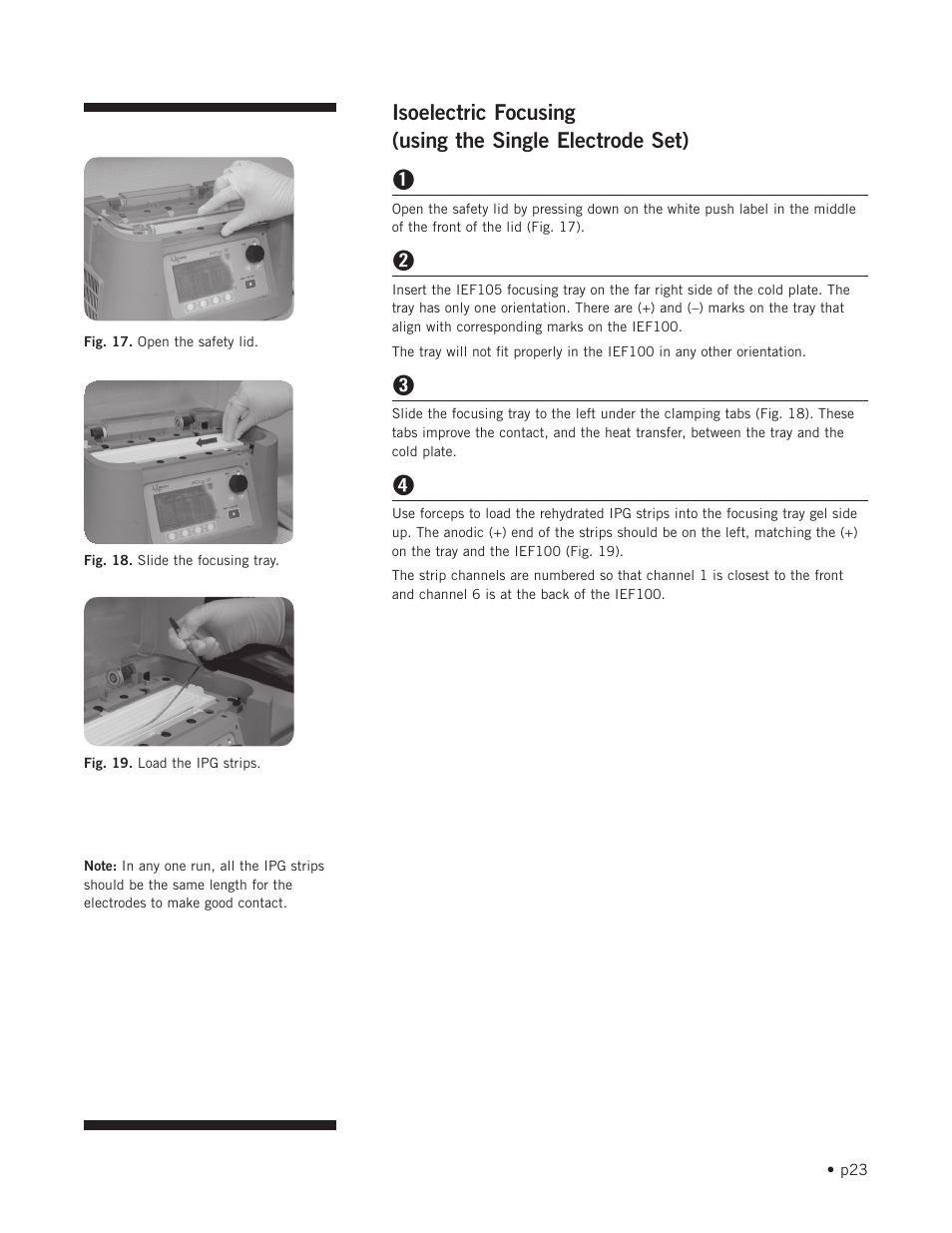 Hoefer IEF100 User Manual | Page 29 / 65