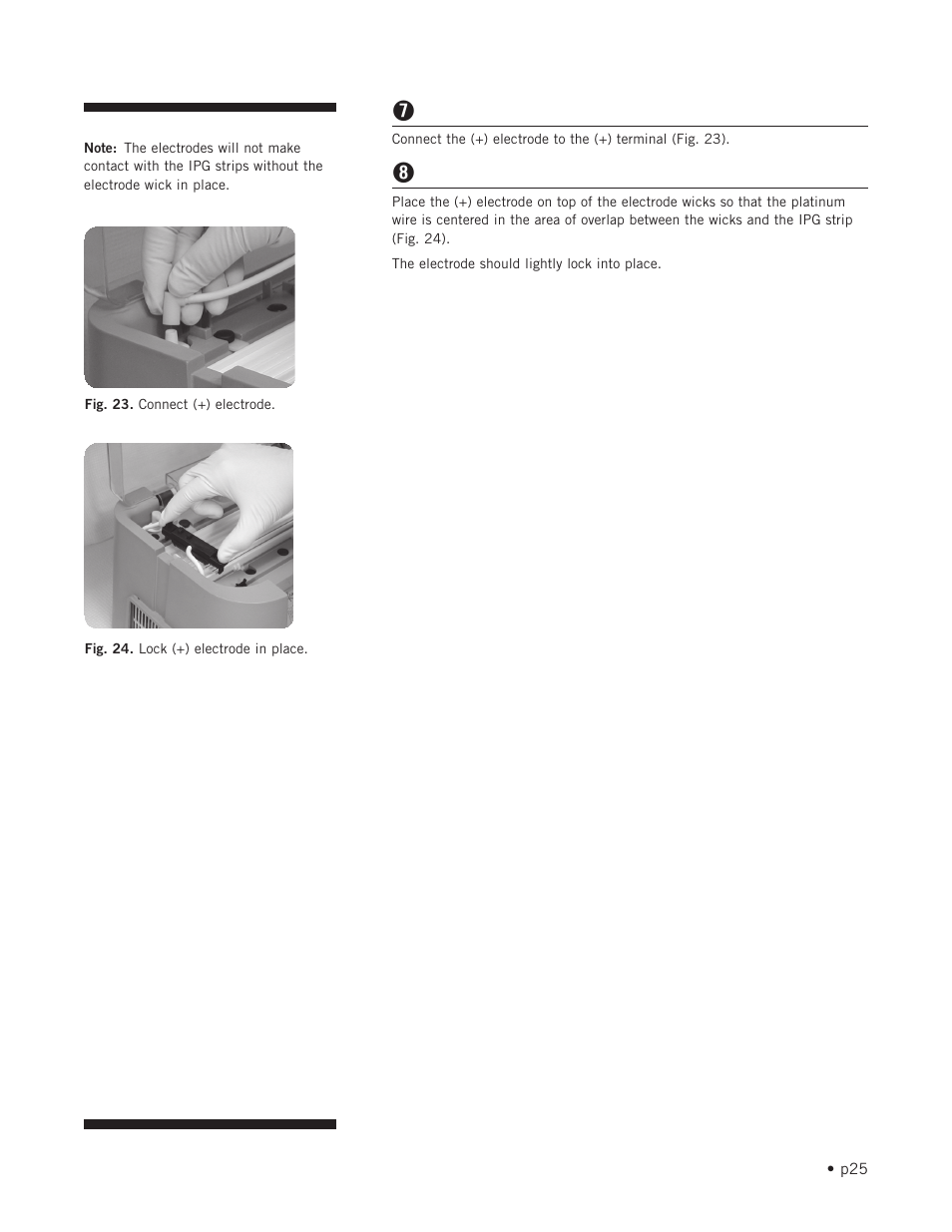 Hoefer IEF100 User Manual | Page 31 / 65