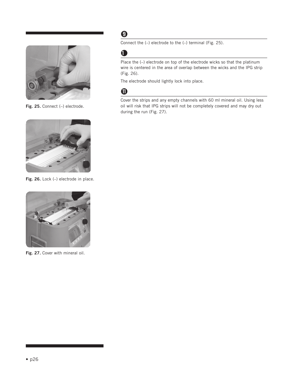 Hoefer IEF100 User Manual | Page 32 / 65