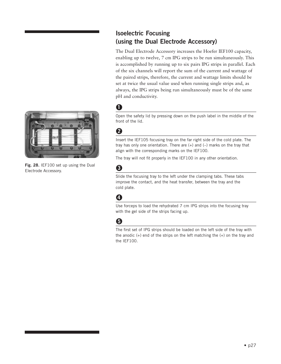 Hoefer IEF100 User Manual | Page 33 / 65