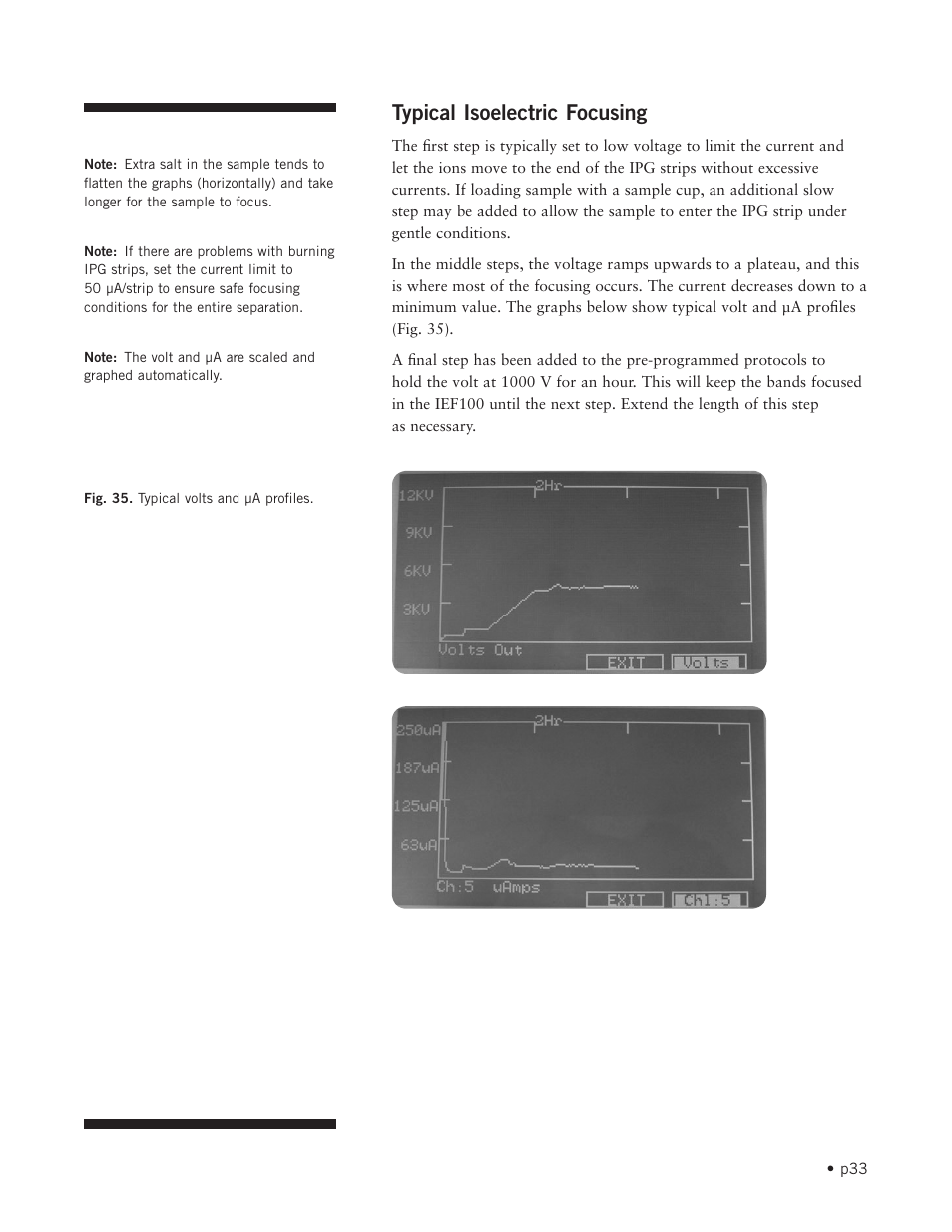 Typical isoelectric focusing | Hoefer IEF100 User Manual | Page 39 / 65