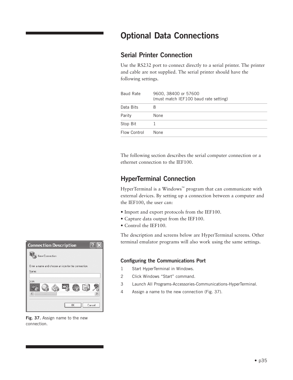 Optional data connections, Serial printer connection, Hyperterminal connection | Hoefer IEF100 User Manual | Page 41 / 65