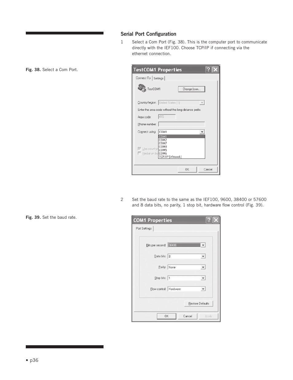 Hoefer IEF100 User Manual | Page 42 / 65