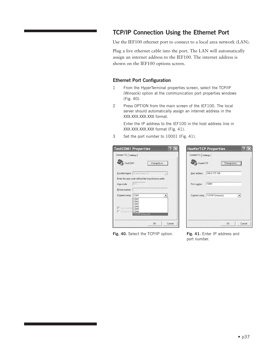 Tcp/ip connection using the ethernet port | Hoefer IEF100 User Manual | Page 43 / 65