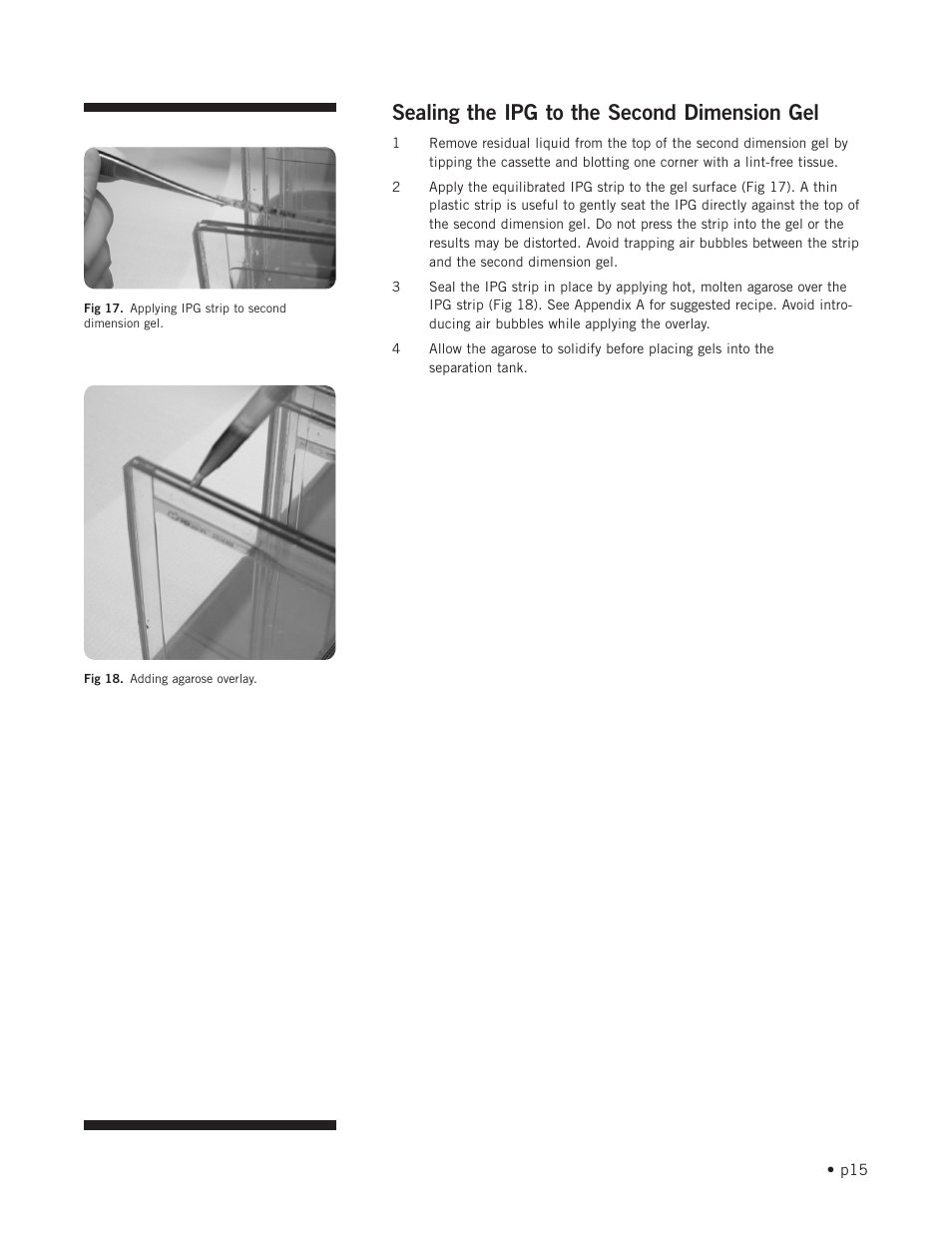 Sealing the ipg to the second dimension gel | Hoefer SE900 User Manual | Page 21 / 37