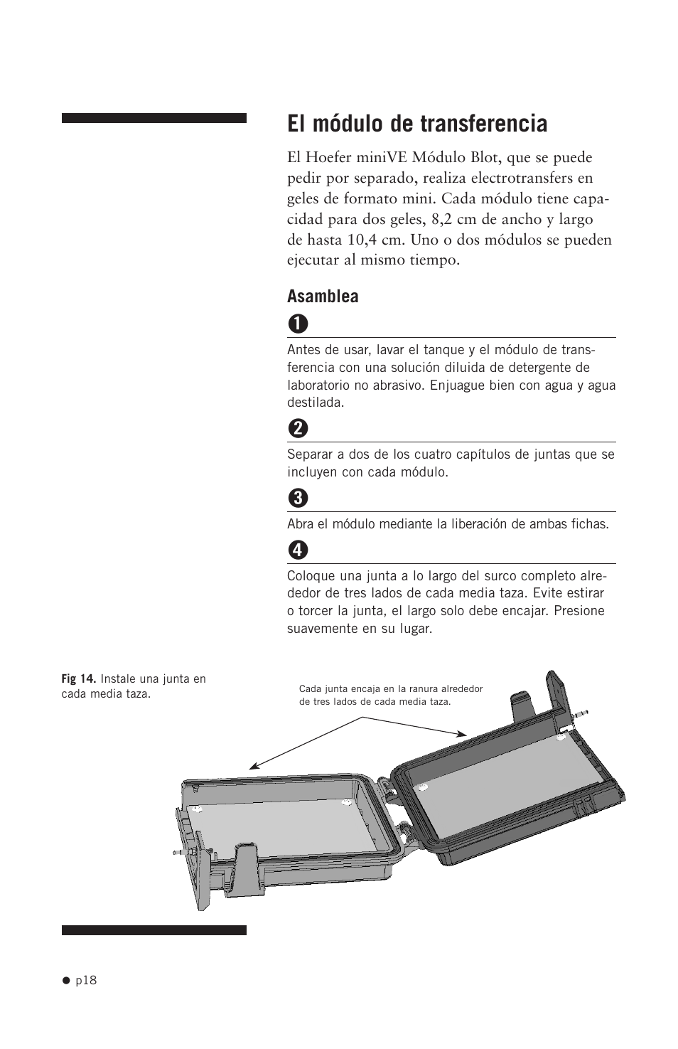 El módulo de transferencia | Hoefer SE300 miniVE User Manual | Page 26 / 37