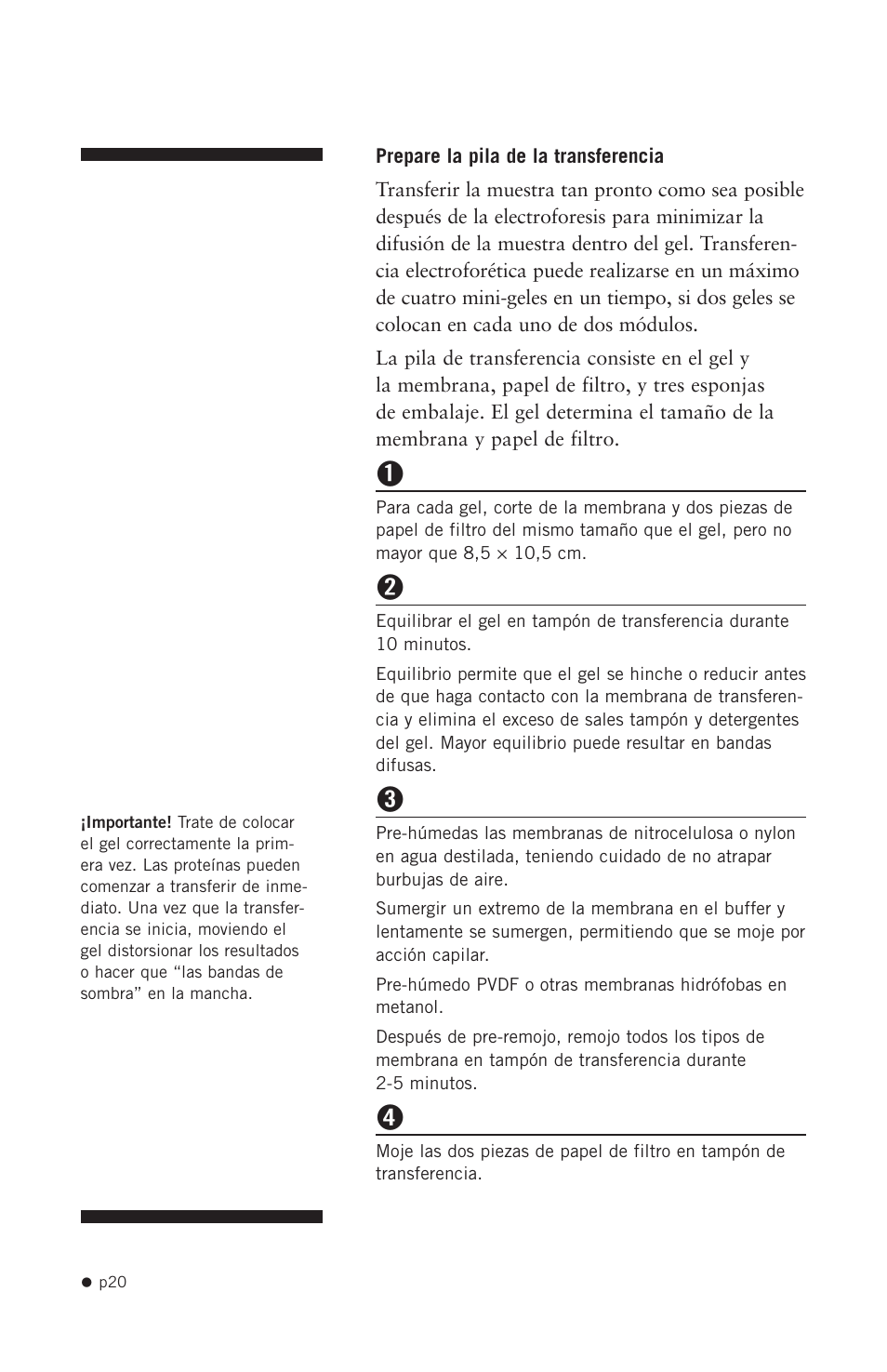 Hoefer SE300 miniVE User Manual | Page 28 / 37
