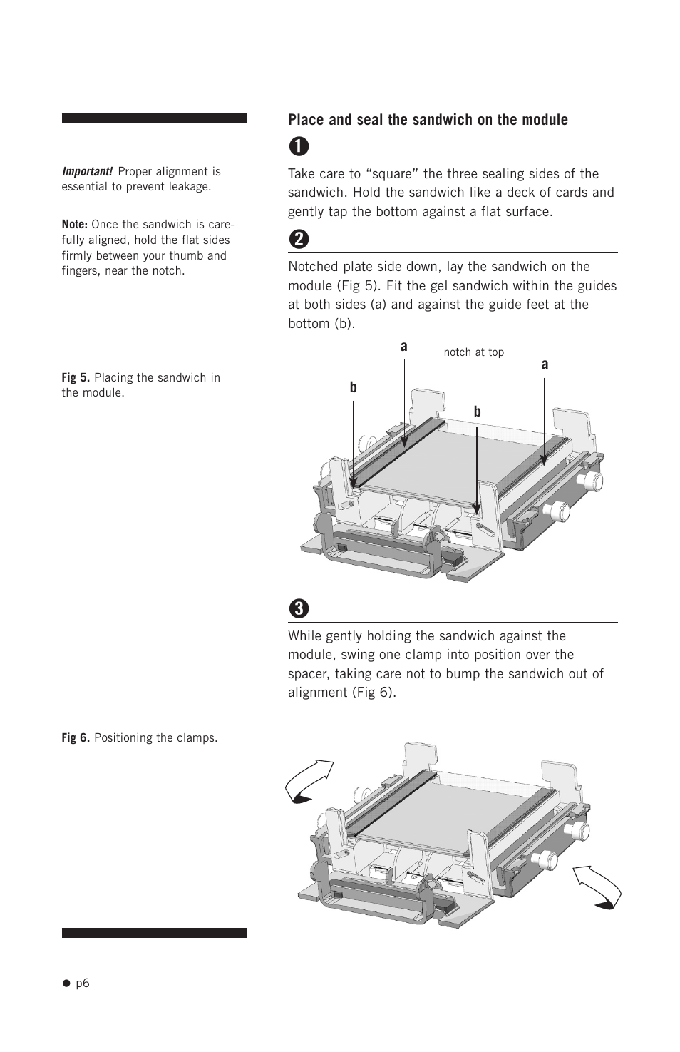 Hoefer SE300 miniVE User Manual | Page 14 / 37