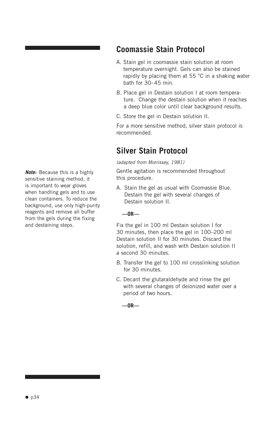 Coomassie stain protocol, Silver stain protocol | Hoefer SE400 User Manual | Page 42 / 50