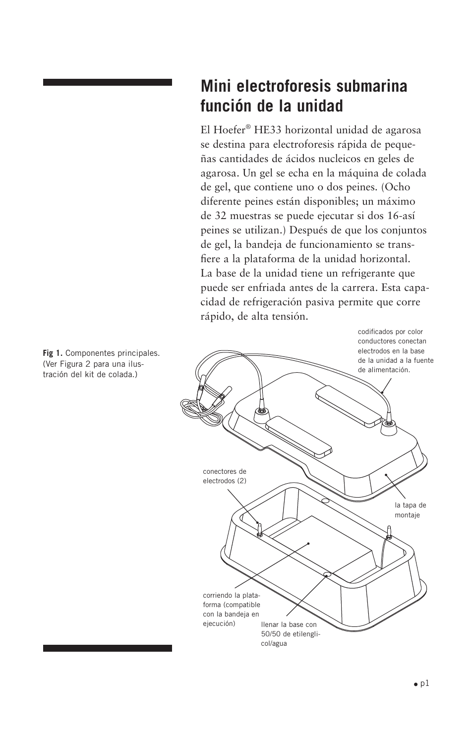 Mini electroforesis submarina función de la unidad, El hoefer | Hoefer HE33 User Manual | Page 9 / 26