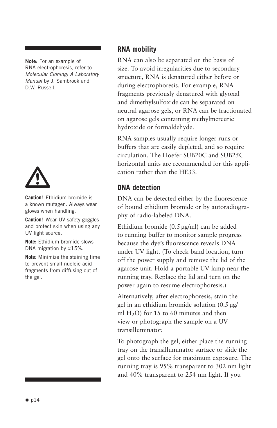 Rna mobility, Dna detection | Hoefer HE99X User Manual | Page 22 / 26