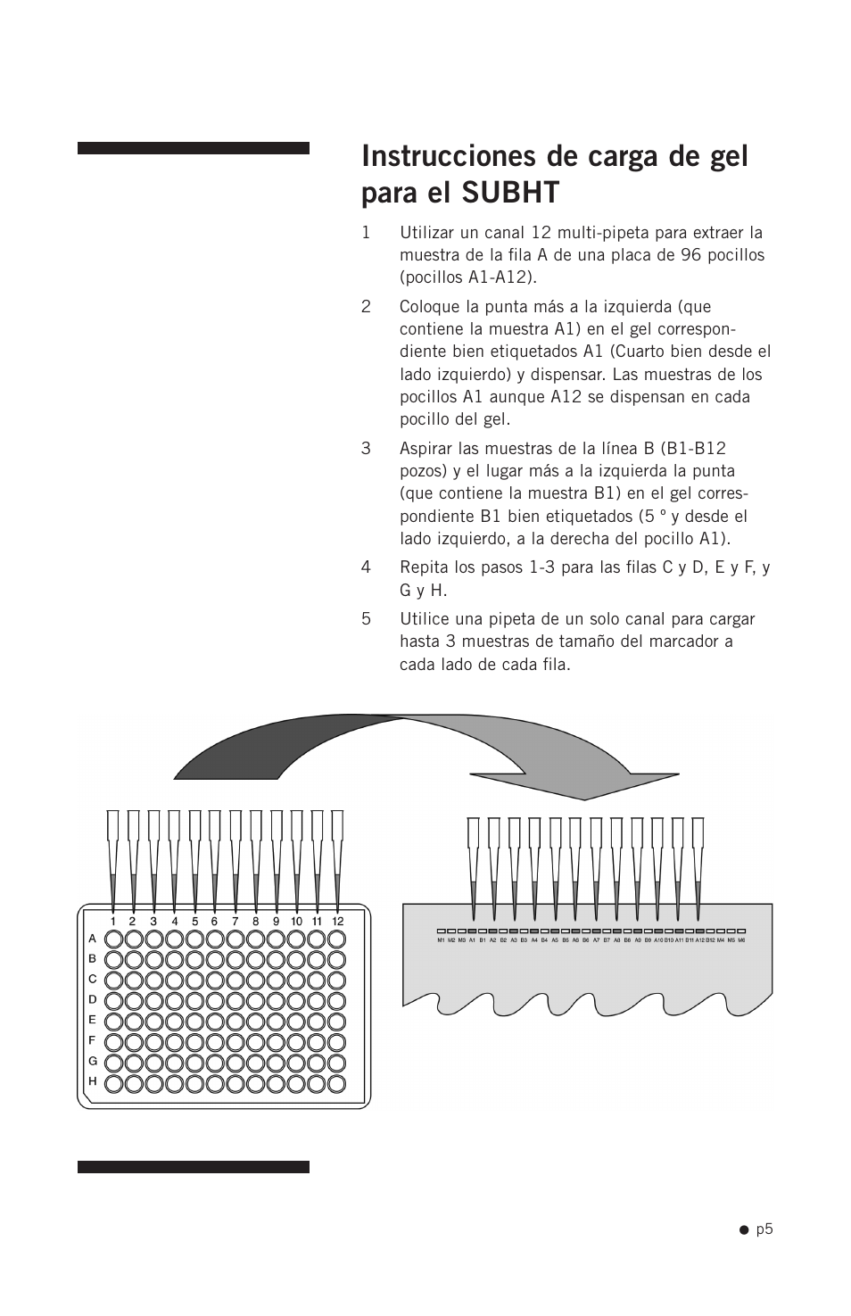 Instrucciones de carga de gel para el subht | Hoefer SUB Series User Manual | Page 13 / 31