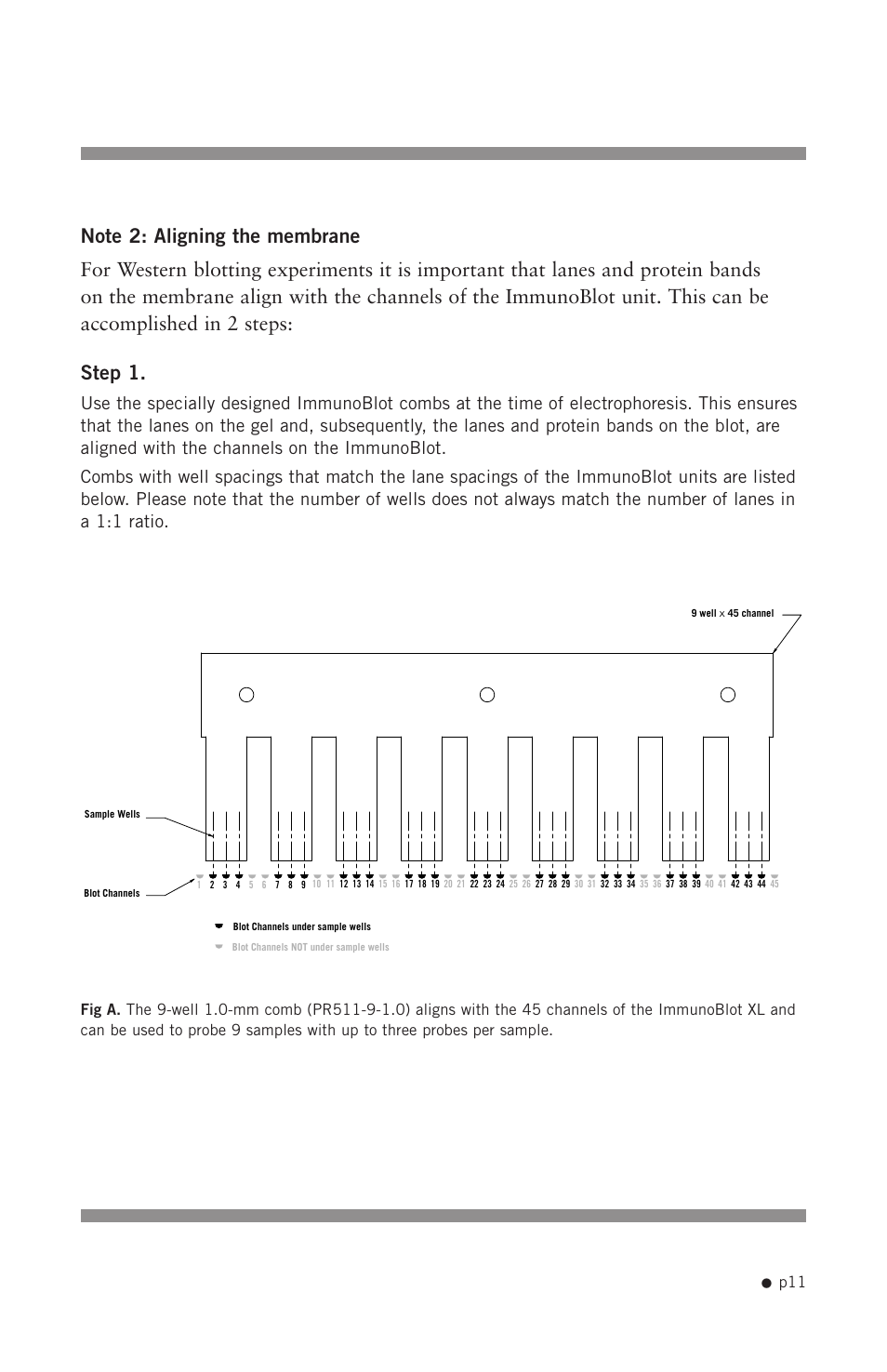 Hoefer PR625 Immunoblot User Manual | Page 13 / 21