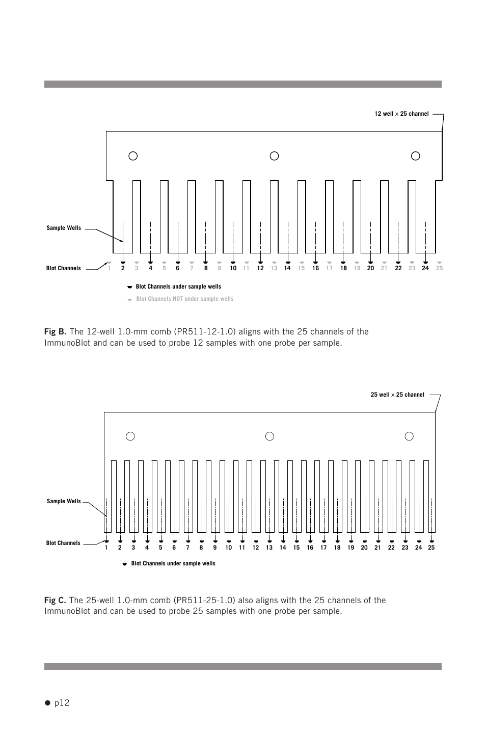 Hoefer PR625 Immunoblot User Manual | Page 14 / 21