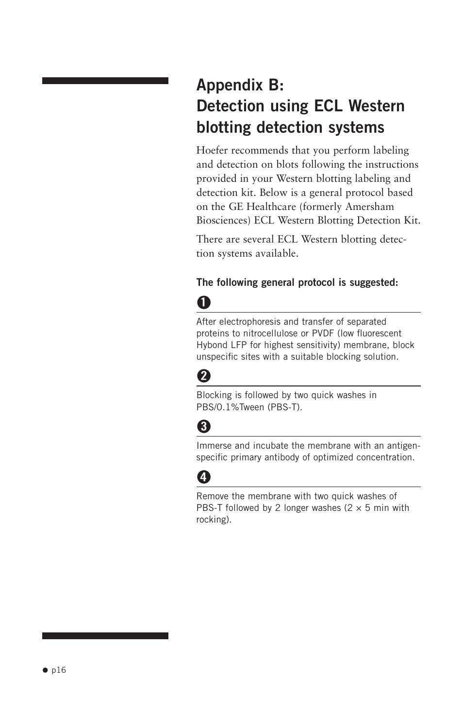 Hoefer PR625 Immunoblot User Manual | Page 18 / 21