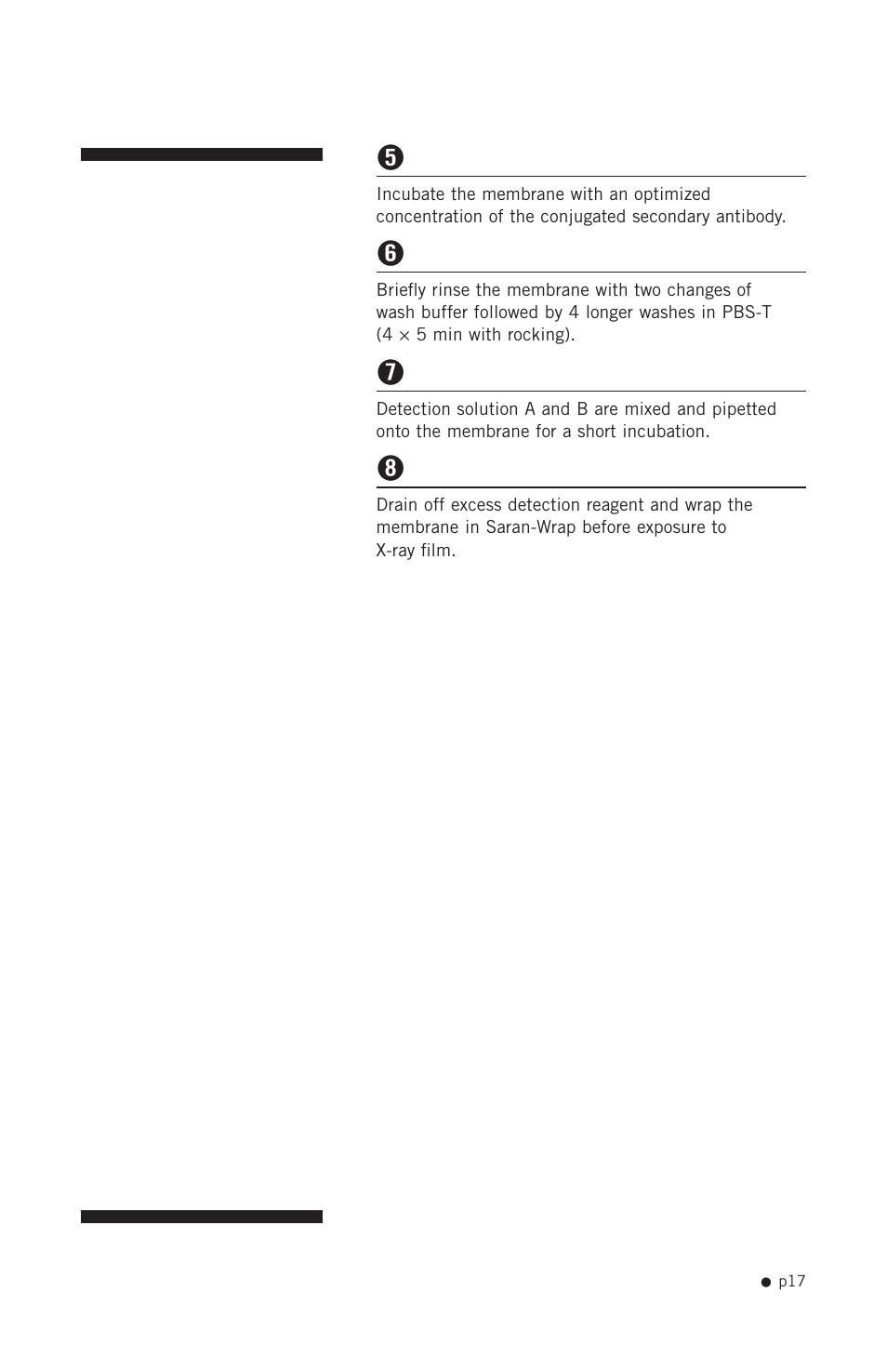 Hoefer PR625 Immunoblot User Manual | Page 19 / 21