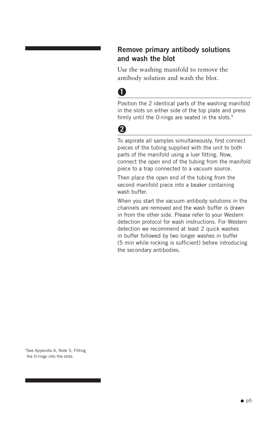 Hoefer PR625 Immunoblot User Manual | Page 7 / 21