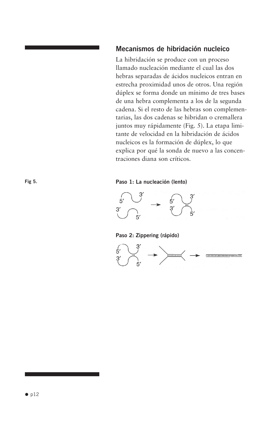 Hoefer HB1000 User Manual | Page 21 / 31