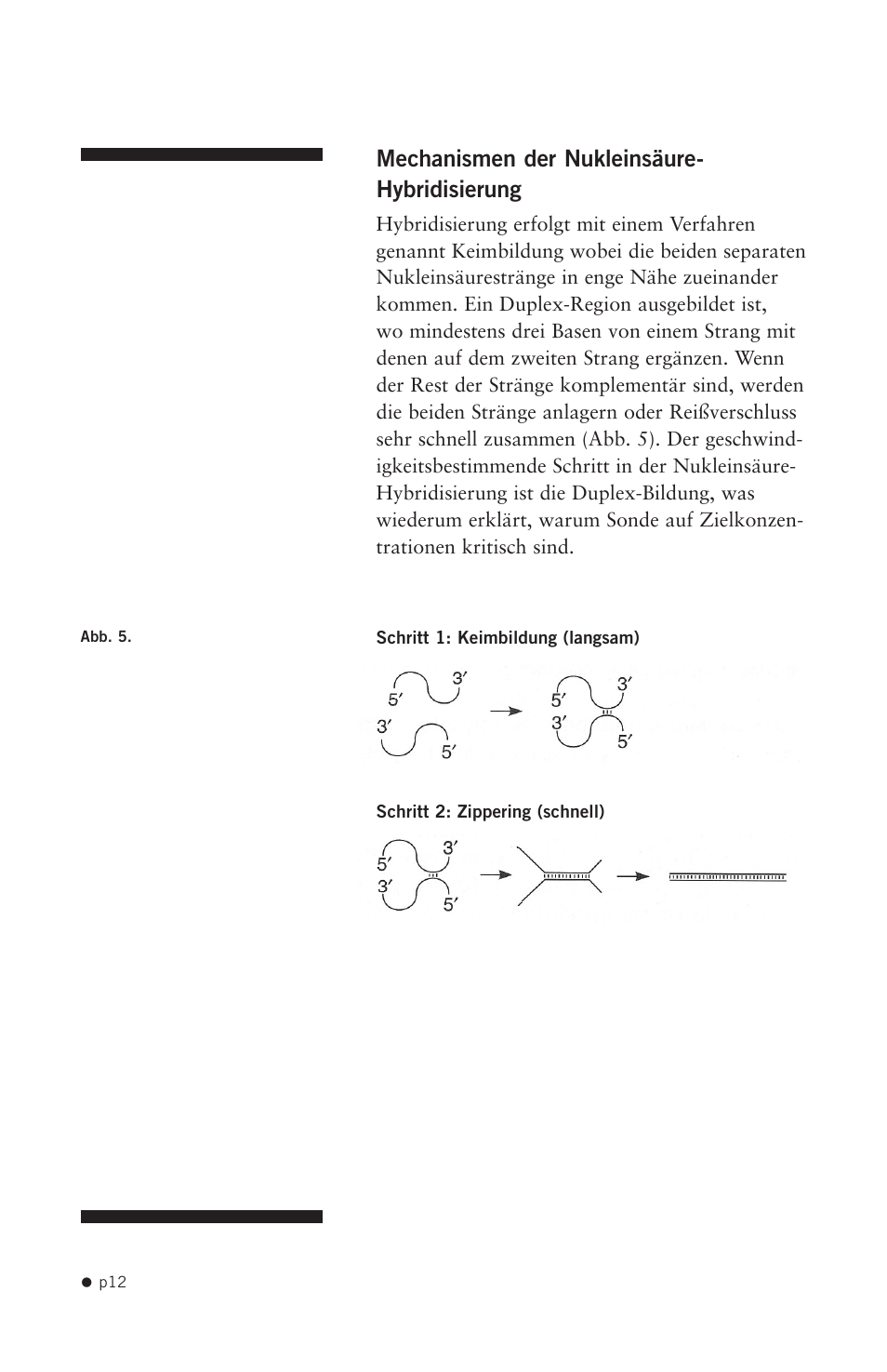 Hoefer HB1000 User Manual | Page 21 / 31