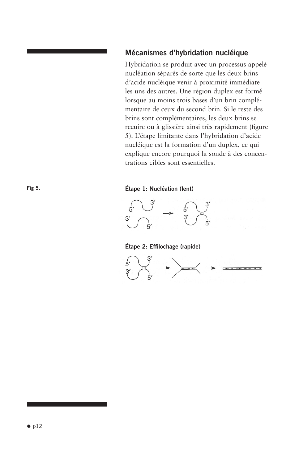 Hoefer HB1000 User Manual | Page 21 / 31