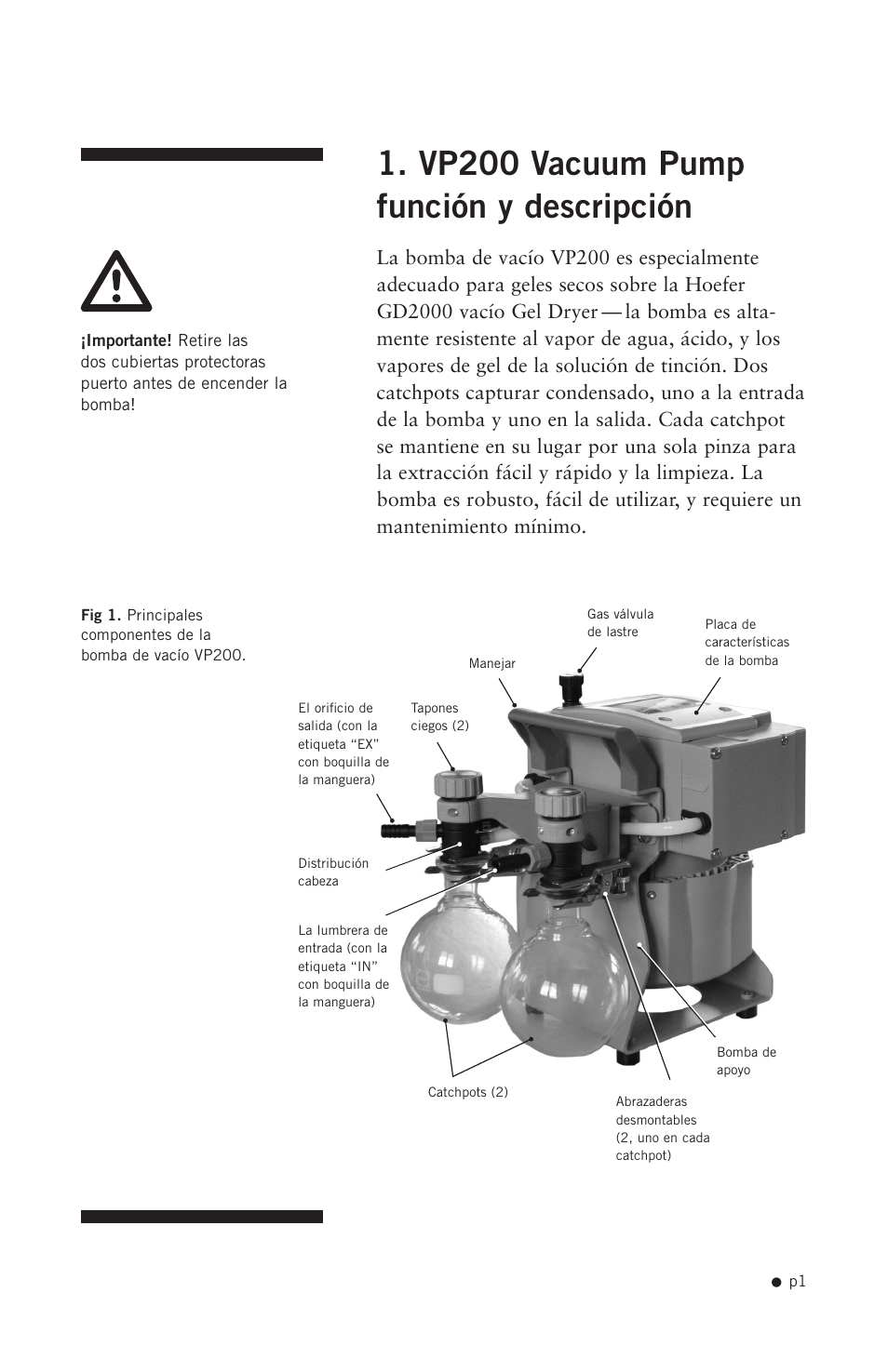 Vp200 vacuum pump función y descripción | Hoefer VP200 User Manual | Page 9 / 30