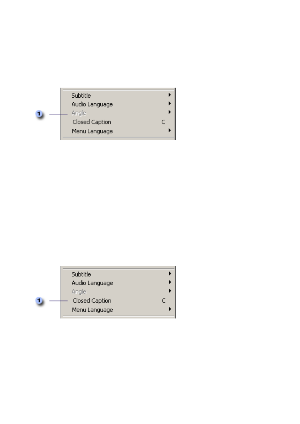 Angle, Closed caption | Honestech DVD Player 3.0 User Manual | Page 23 / 48