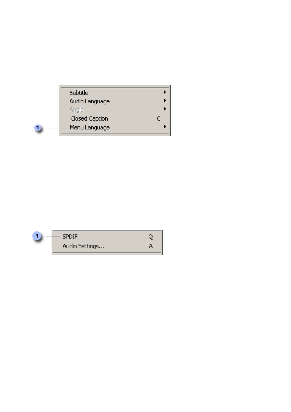Menu language, Spdif | Honestech DVD Player 3.0 User Manual | Page 24 / 48