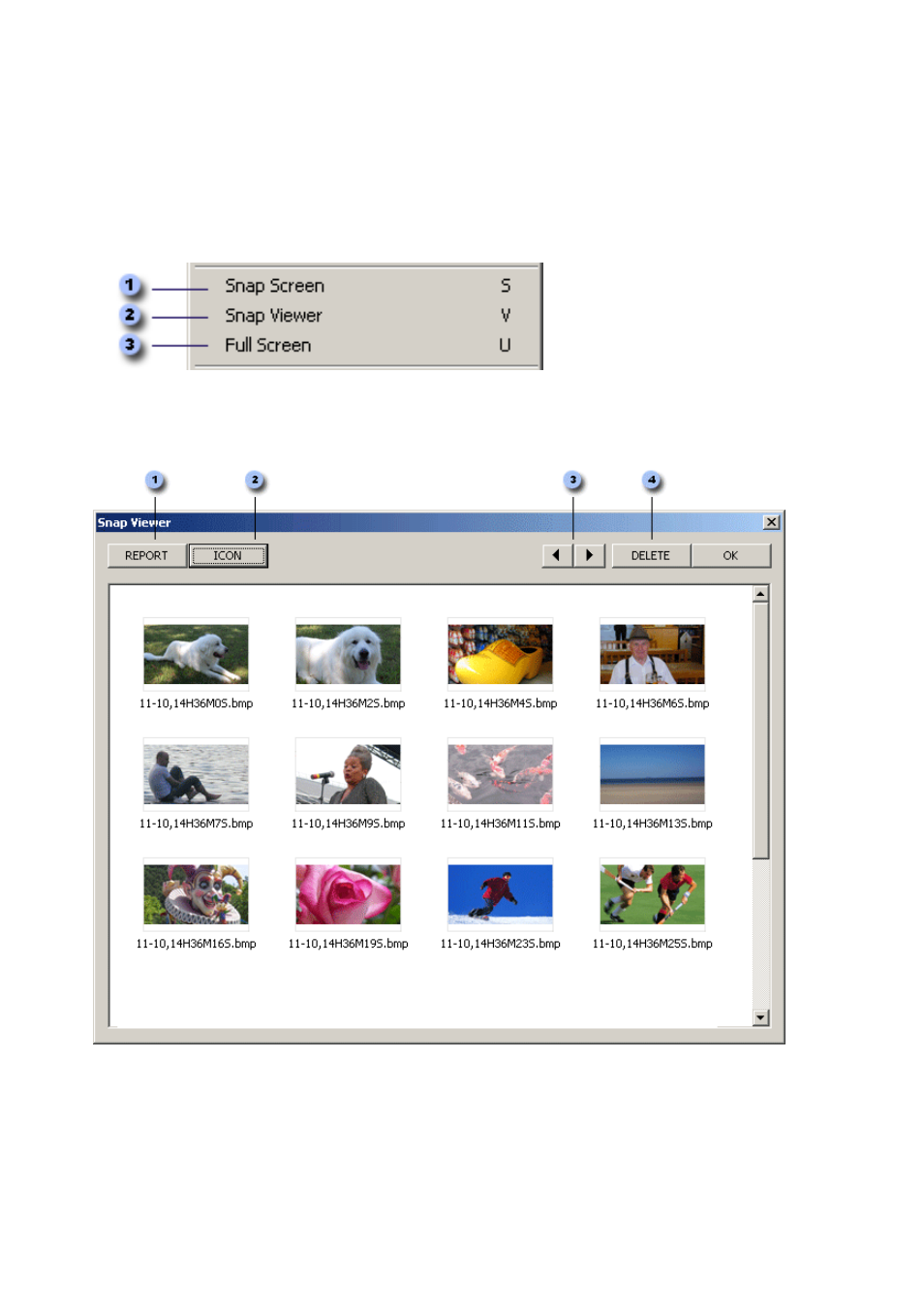 Snap viewer | Honestech DVD Player 3.0 User Manual | Page 27 / 48