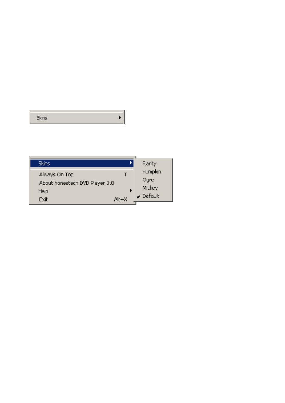 Skins | Honestech DVD Player 3.0 User Manual | Page 30 / 48