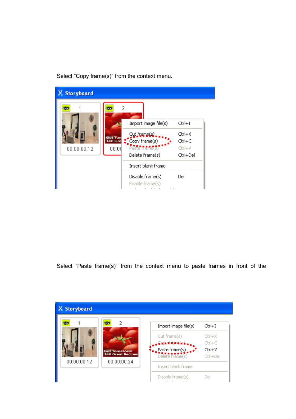 Copy frame(s), Paste frame(s) | Honestech Claymation Studio User Manual | Page 22 / 64