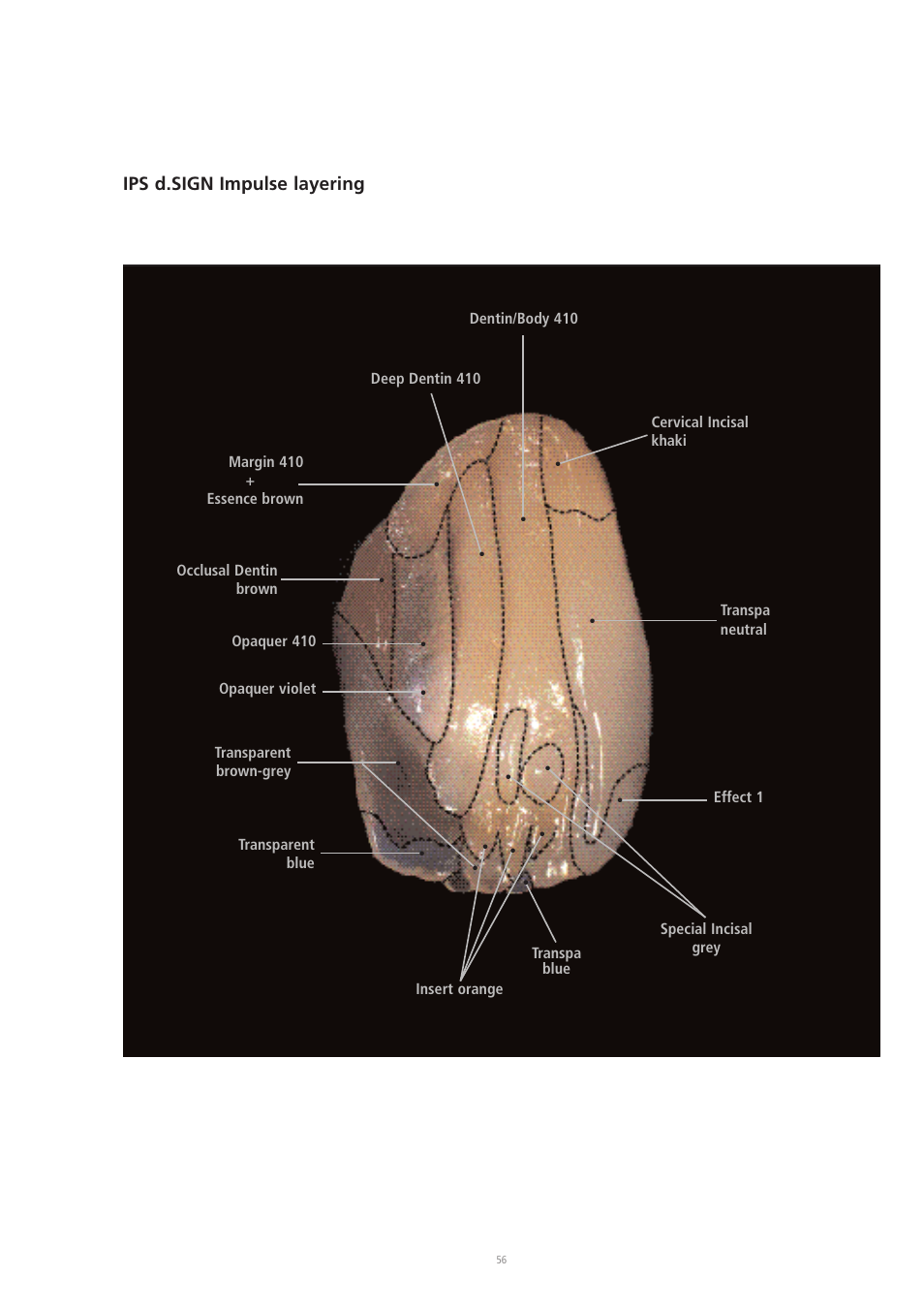 Ips d.sign impulse layering, Dentin/body 410, Cervical incisal khaki | Margin 410 + essence brown, Occlusal dentin brown, Opaquer 410 effect 1, Opaquer violet, Transparent brown-grey, Deep dentin 410, Transpa neutral | Ivoclar Vivadent IPS d.SIGN User Manual | Page 56 / 68