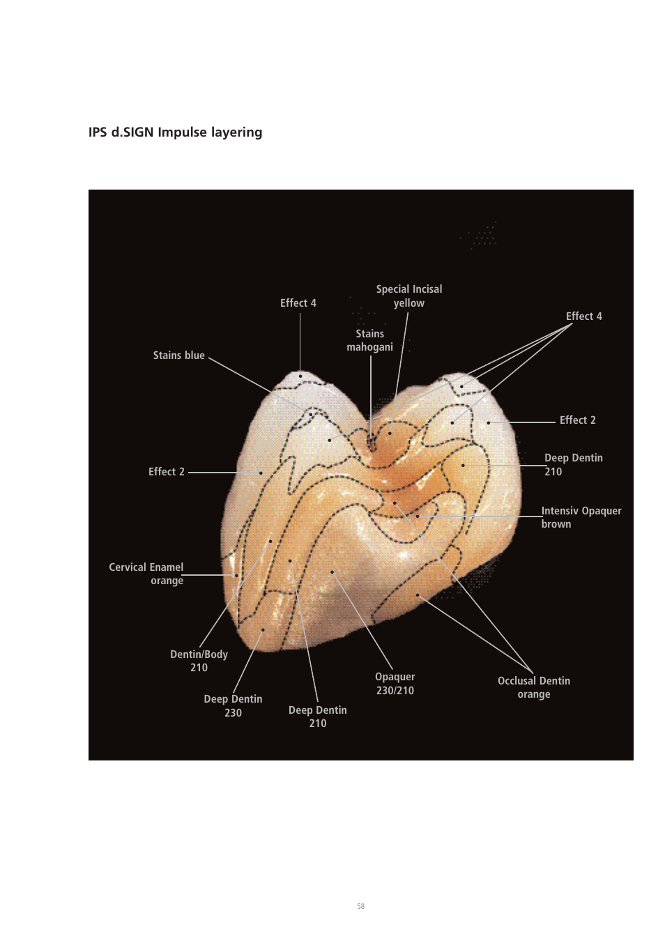 Ips d.sign impulse layering, Effect 2, Deep dentin 210 | Ivoclar Vivadent IPS d.SIGN User Manual | Page 58 / 68