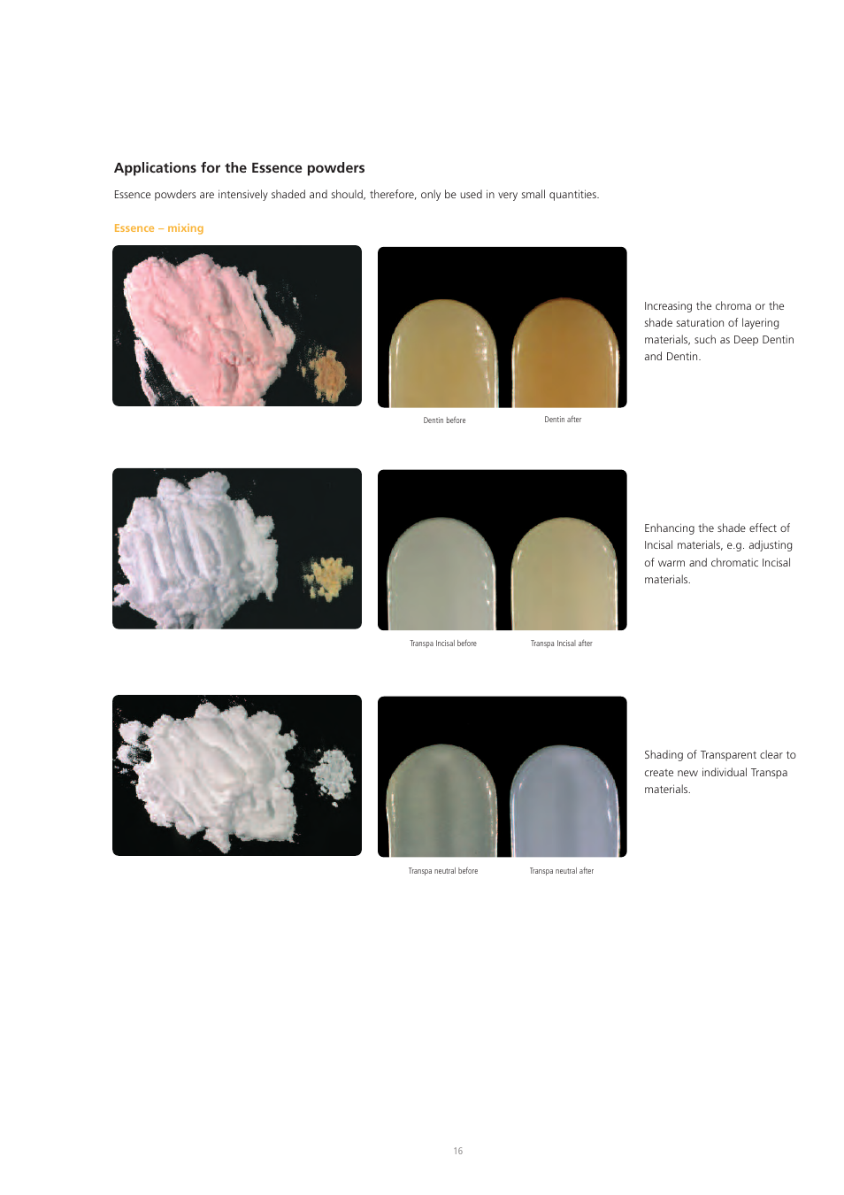 Applications for the essence powders | Ivoclar Vivadent IPS e.max Ceram User Manual | Page 16 / 72